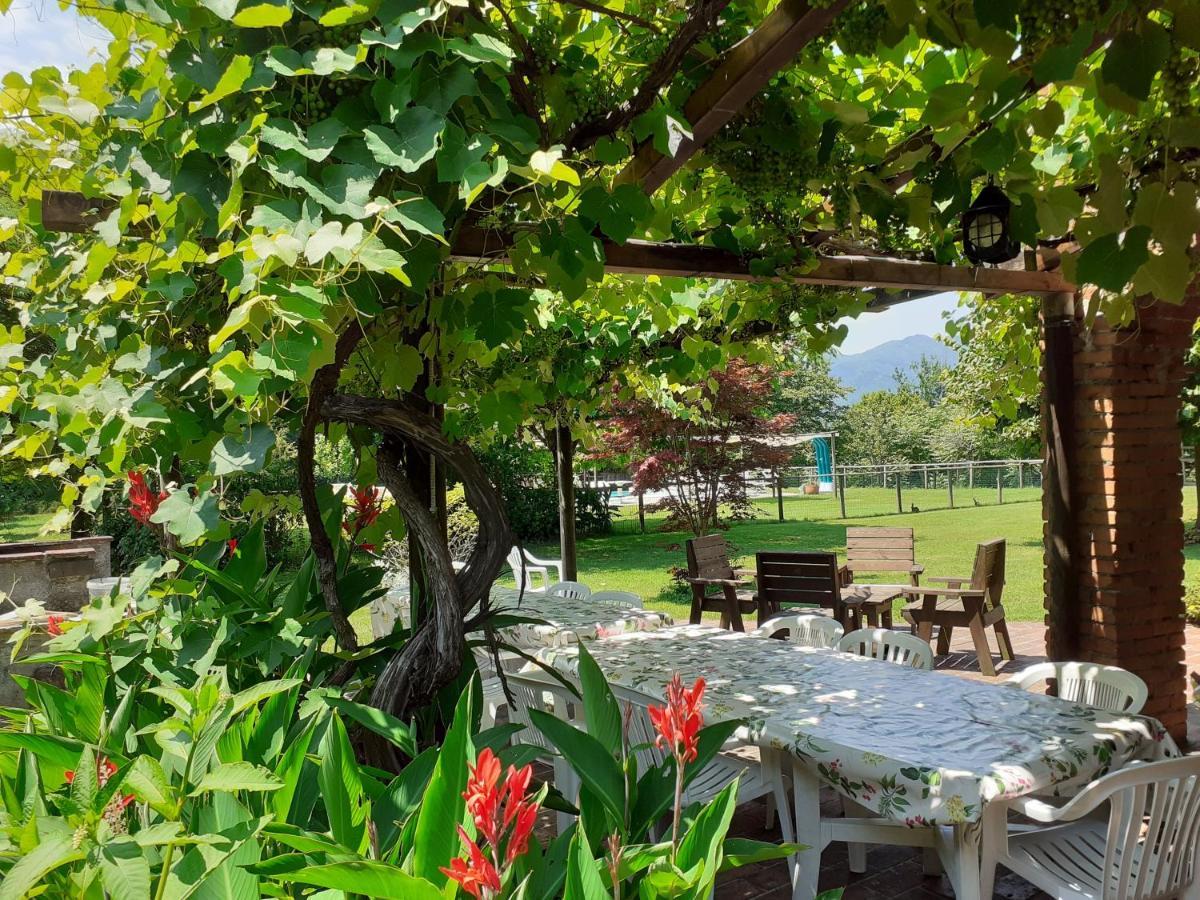 Agriturismo Chioi 巴尔加 外观 照片