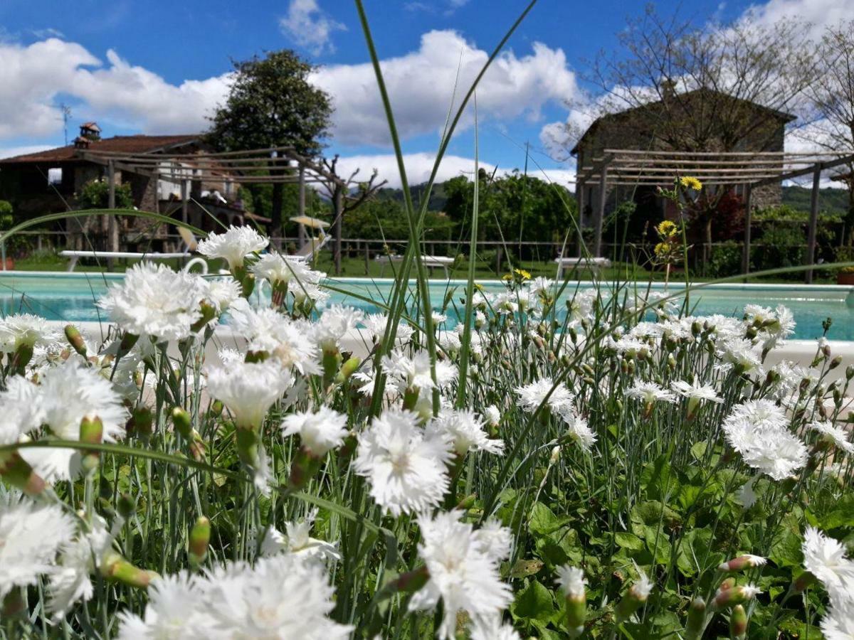 Agriturismo Chioi 巴尔加 外观 照片